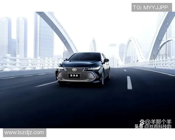 上海乒乓球队在洲际杯积分榜上以62分稳居第一名展现强劲实力