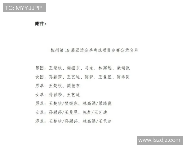 杭州乒乓球队灵活性排名创新高展现团队实力与技术进步