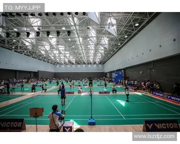 羽毛球巨献：深入解析西安羽毛球队运动员的个人技术与实力提升之路