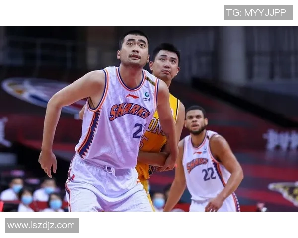 张兆旭的篮球之路从青涩少年到职业巨星的成长故事